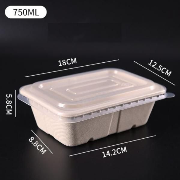 750ml Rectangle Bento Box with PP lid Food & Catering Packaging FTF1008