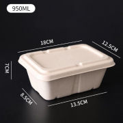 950ml Rectangle Bento Box Food & Catering Packaging FTF1011