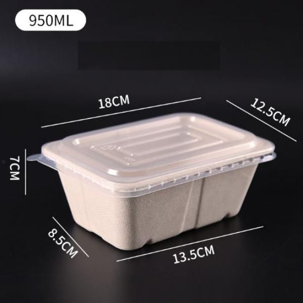 950ml Rectangle Bento Box with PP lid Food & Catering Packaging FTF1009