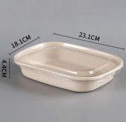 1100ml Salad Box with PP Lid Food & Catering Packaging FTF1014