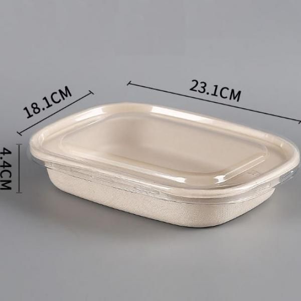 1100ml Salad Box with PP Lid Food & Catering Packaging FTF1014