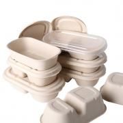 700ml 2 Compartment Bento Box with PP lid Food & Catering Packaging FTF1000