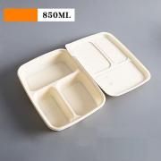 3 Compartment Bento Box Food & Catering Packaging FTF1015