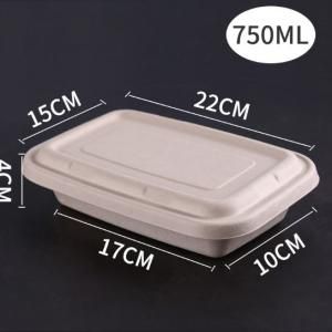 750ml Paper Pulp Rectangle Bento Box Food & Catering Packaging FTF1052