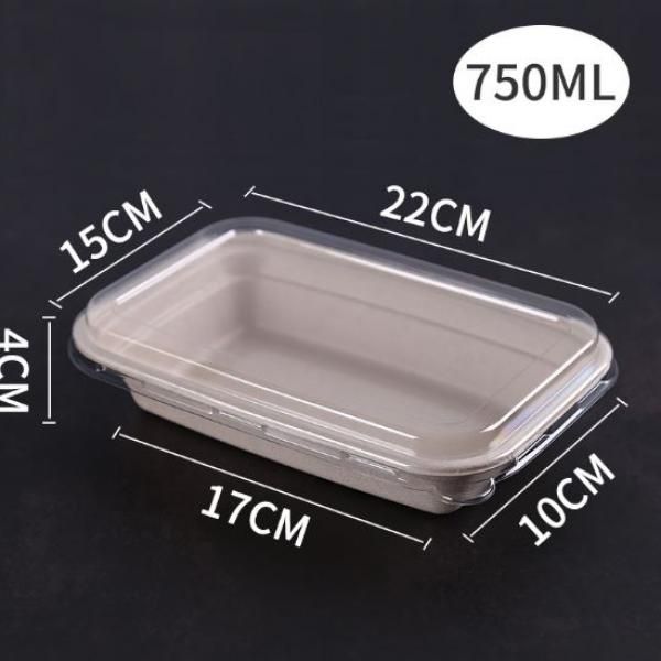 750ml Paper Pulp Rectangle Bento Box With PET Lid Food & Catering Packaging FTF1053