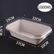 1000ml Paper Pulp Rectangle Bento Box With PET Lid Food & Catering Packaging FTF1055