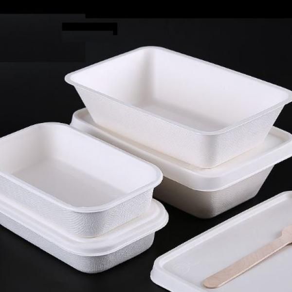 400ml Paper Pulp Lunch Box Food & Catering Packaging FTF1056-1