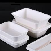 800ml Paper Pulp Lunch Box Food & Catering Packaging FTF1057-1