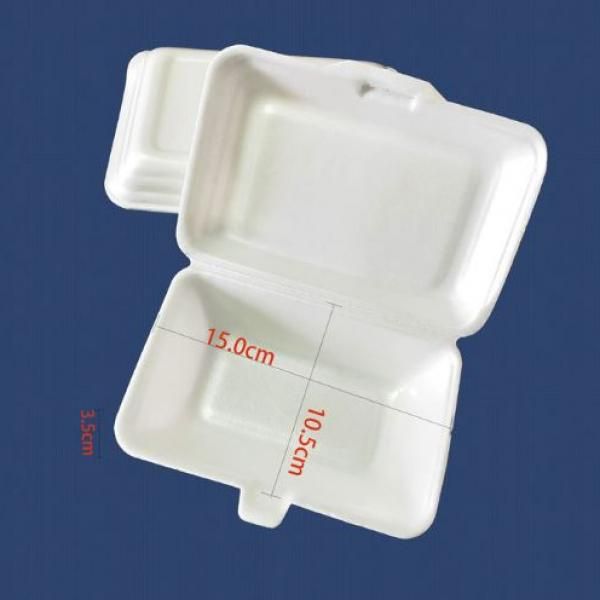 Polystyrene Lunch Box Food & Catering Packaging FTF1058