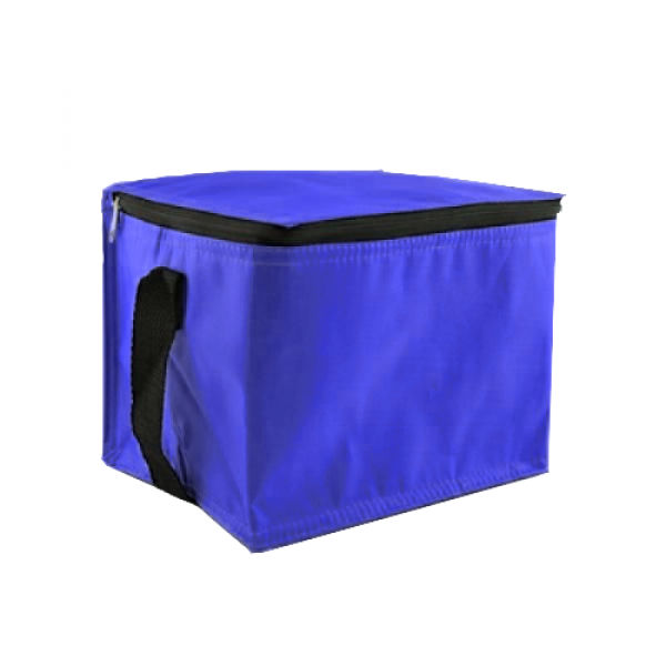 Trendy Insulated Cooler Bag Other Bag Bags MicrosoftTeams-image-12