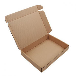 32x20x6cm Kraft Paper Box Printing & Packaging Earth Day 312