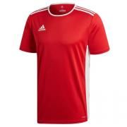 Adidas Entrada 18 JSY  Apparel Other New Arrivals ssj1013-4