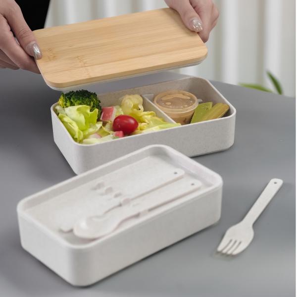 Double Layer Bento Box  Household Products Kitchenwares New Arrivals Lunch Boxes Eco-friendly Gift 1.jpg