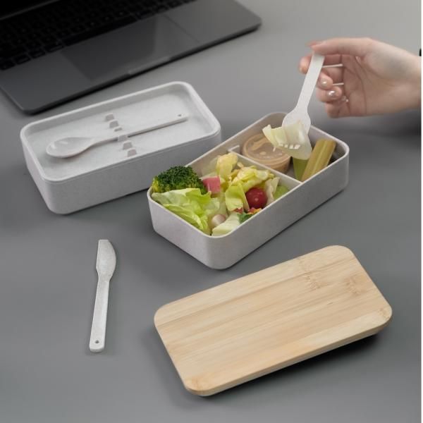 Double Layer Bento Box  Household Products Kitchenwares New Arrivals Lunch Boxes Eco-friendly Gift 4.jpg