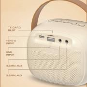 Portable Karaoke Speaker  Electronics & Gadgets New Arrivals Speakers EMS1132-03.jpg