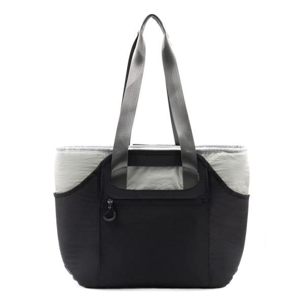 Brand Charger Polar 2 - Detachable Isothermal 2-in-1 Eco-Tote  Tote Bag / Non-Woven Bag Bags New Arrivals TNW1069-01.jpg