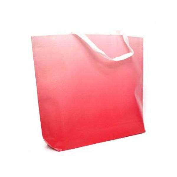 Laminated Shopper Bag Other Bag Bags Best Deals RACIAL HARMONY DAY TSH2602_2