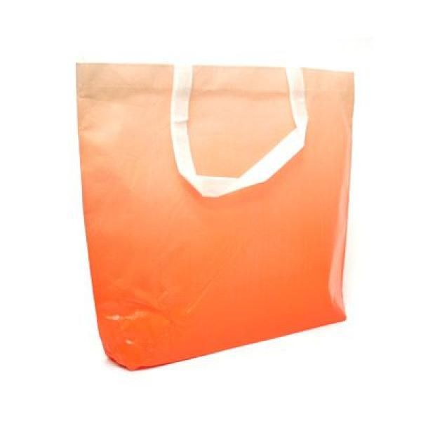 Laminated Shopper Bag Other Bag Bags Best Deals RACIAL HARMONY DAY TSH2602_3