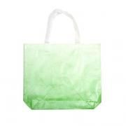 Laminated Shopper Bag Other Bag Bags Best Deals RACIAL HARMONY DAY TSH2602_4