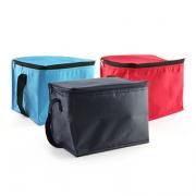 Trendy Insulated Cooler Bag Other Bag Bags TMB2101GrpNEW