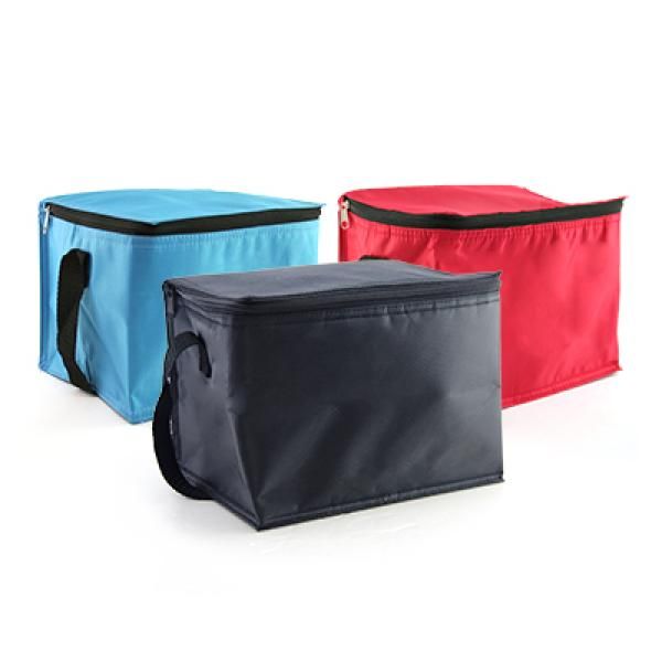 Trendy Insulated Cooler Bag Other Bag Bags TMB2101GrpNEW