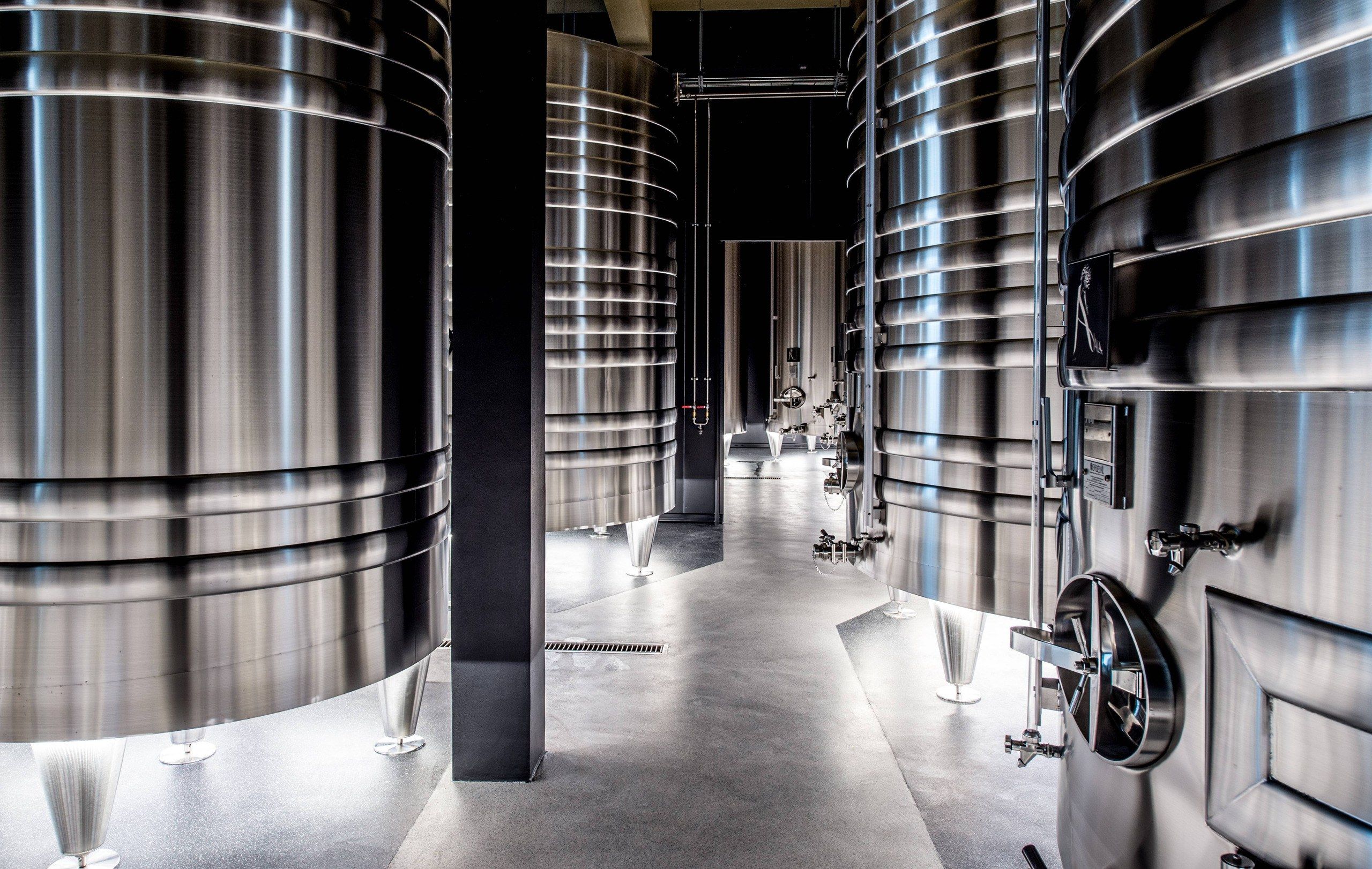 Vintage Experience - Champagne Ayala