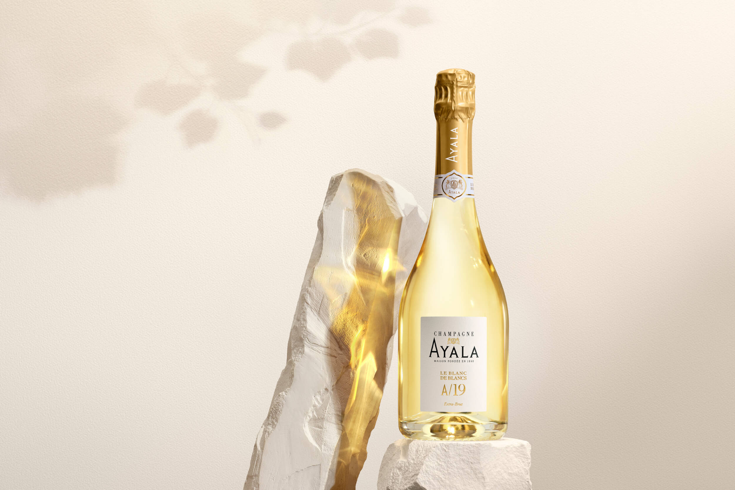 Quentin Gallopyn, Vicomté - Champagne Ayala