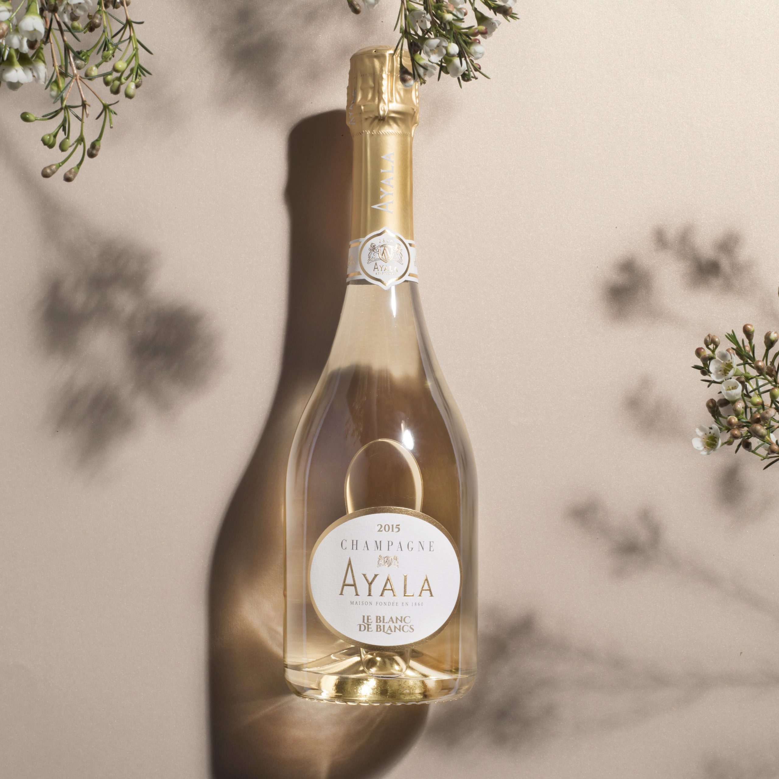 Le Blanc de Blancs - Champagne Ayala