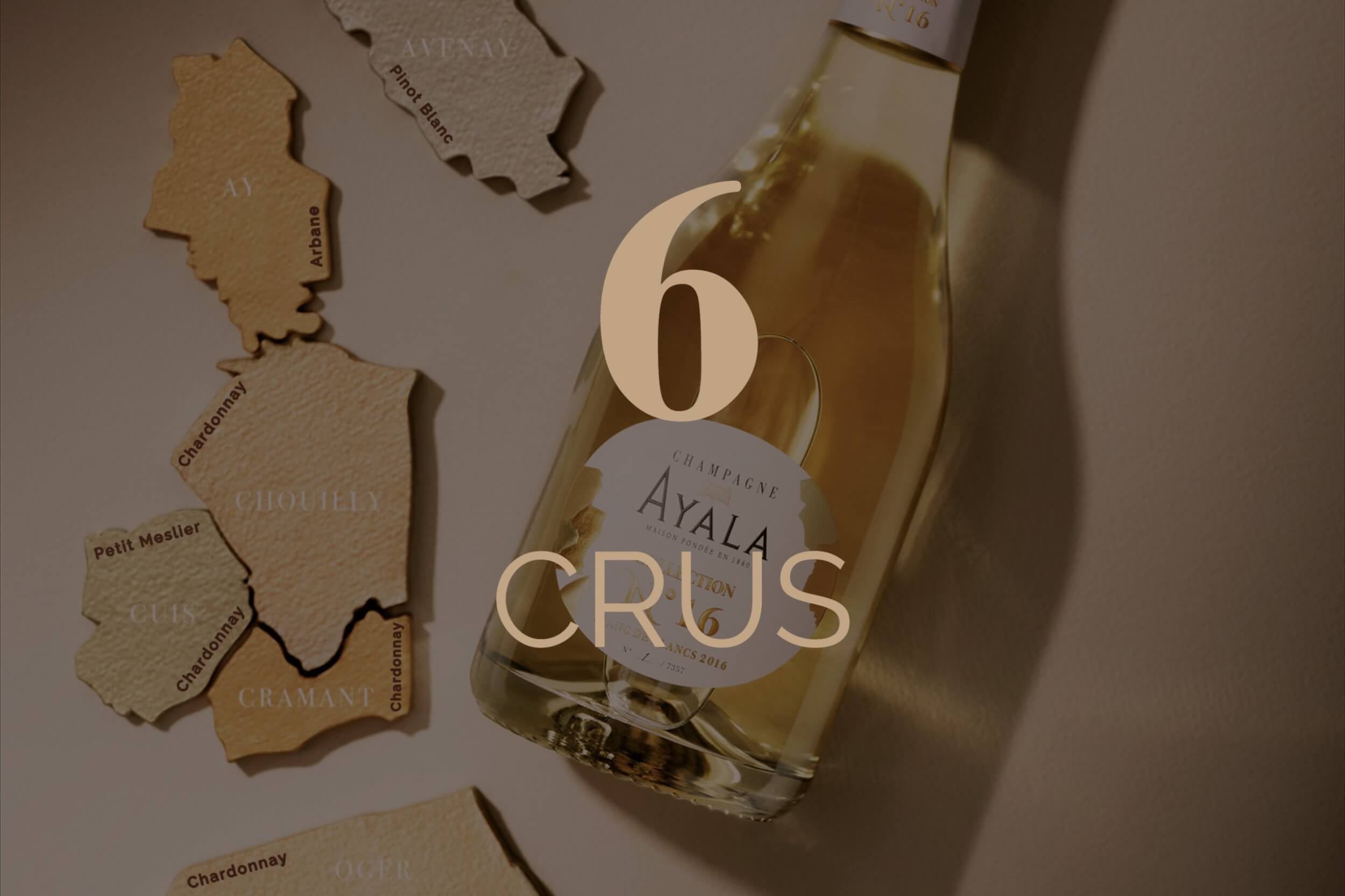 N°16 - Champagne Ayala