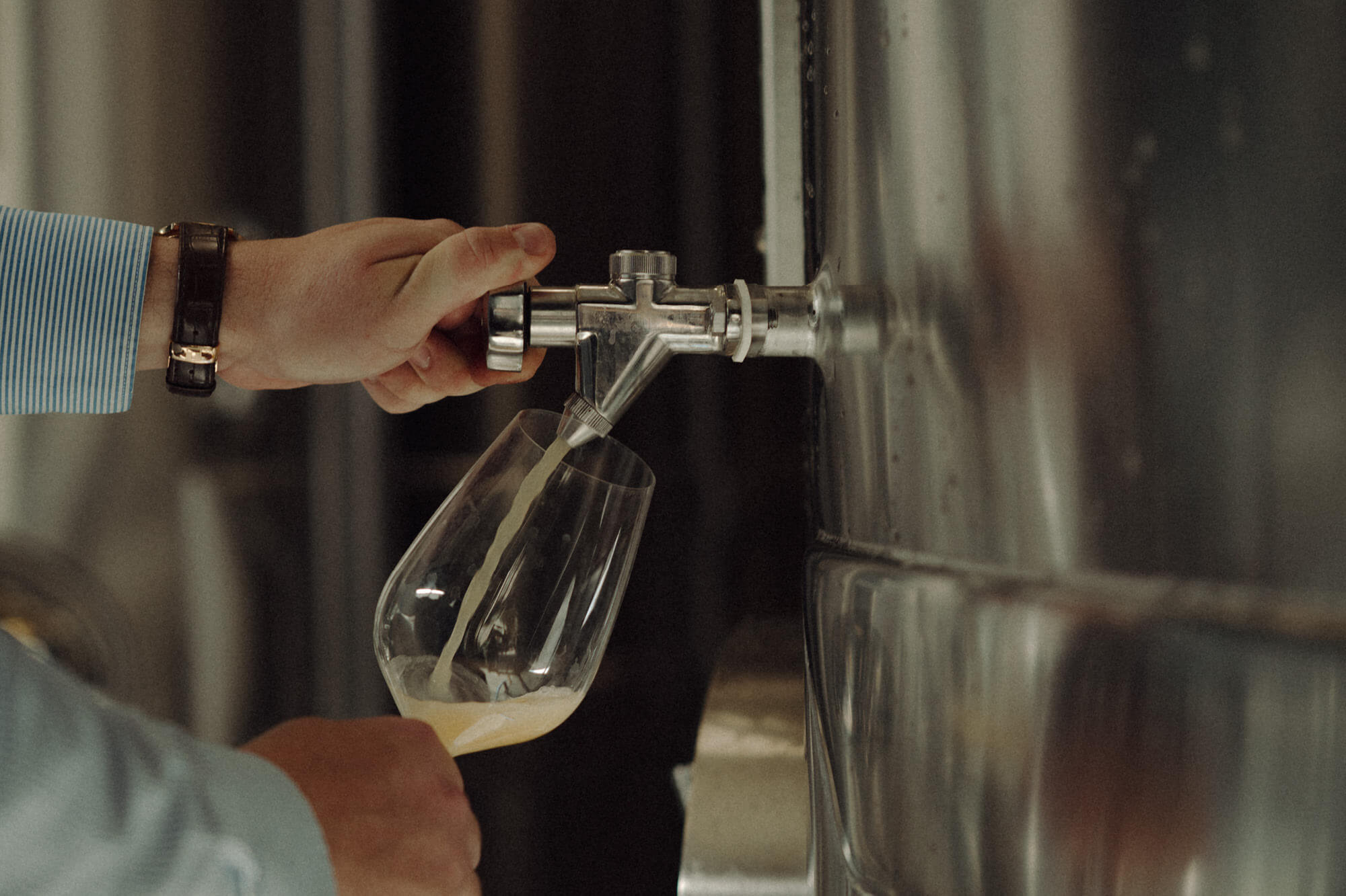 Harvest report 2025 - Champagne Ayala