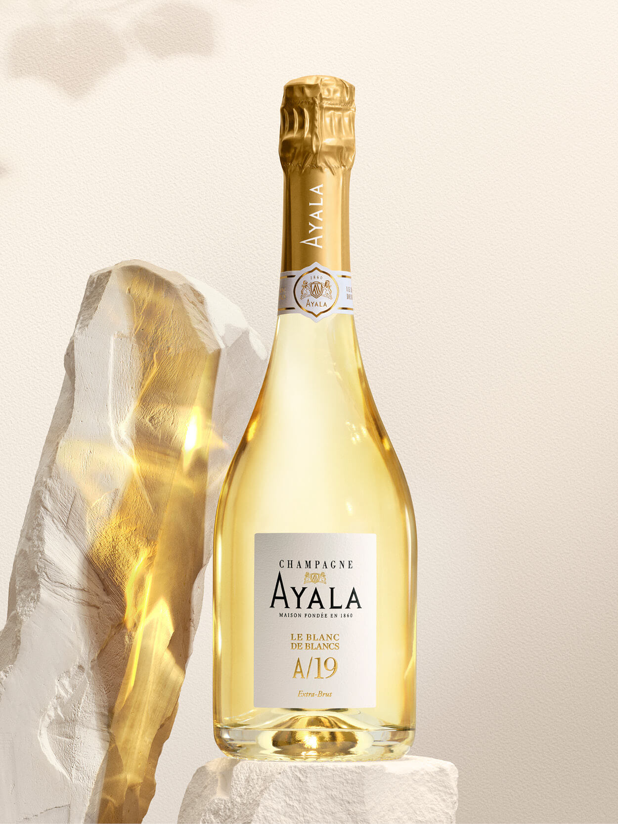 160 years of Heritage - Champagne Ayala