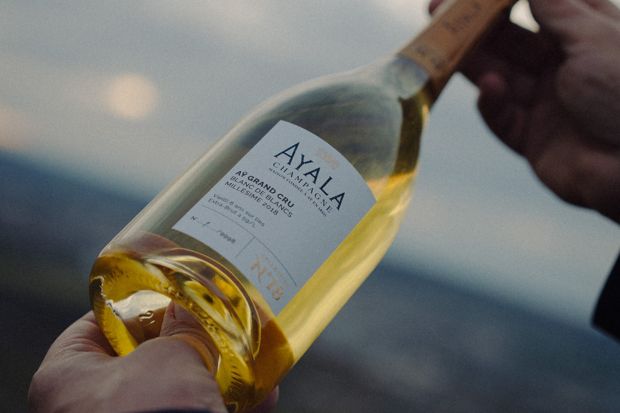 AYALA Collection N°18, Blanc de Blancs d&rsquo;Aÿ - Champagne Ayala