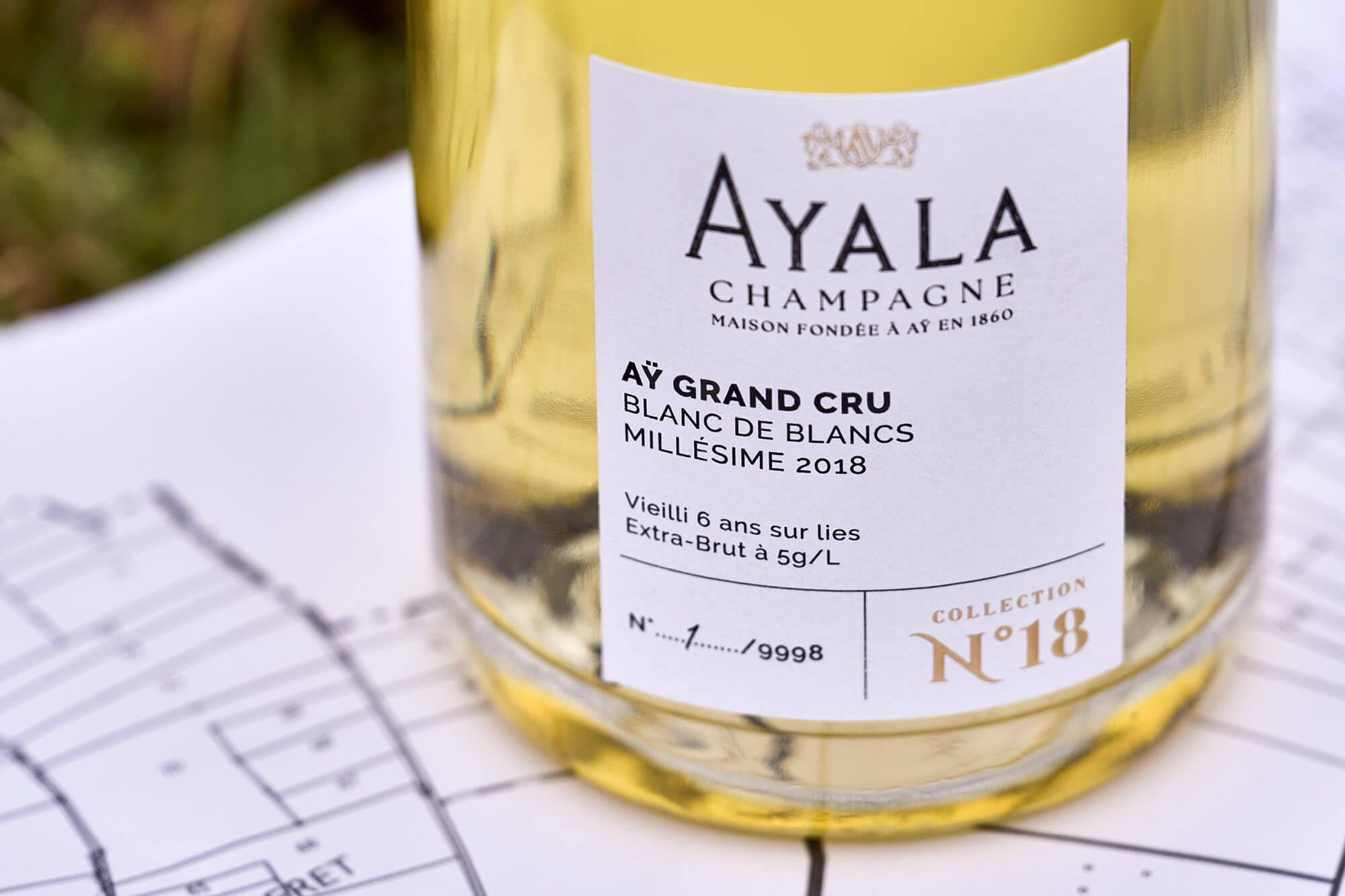 AYALA Collection N°18, Blanc de Blancs d&rsquo;Aÿ - Champagne Ayala