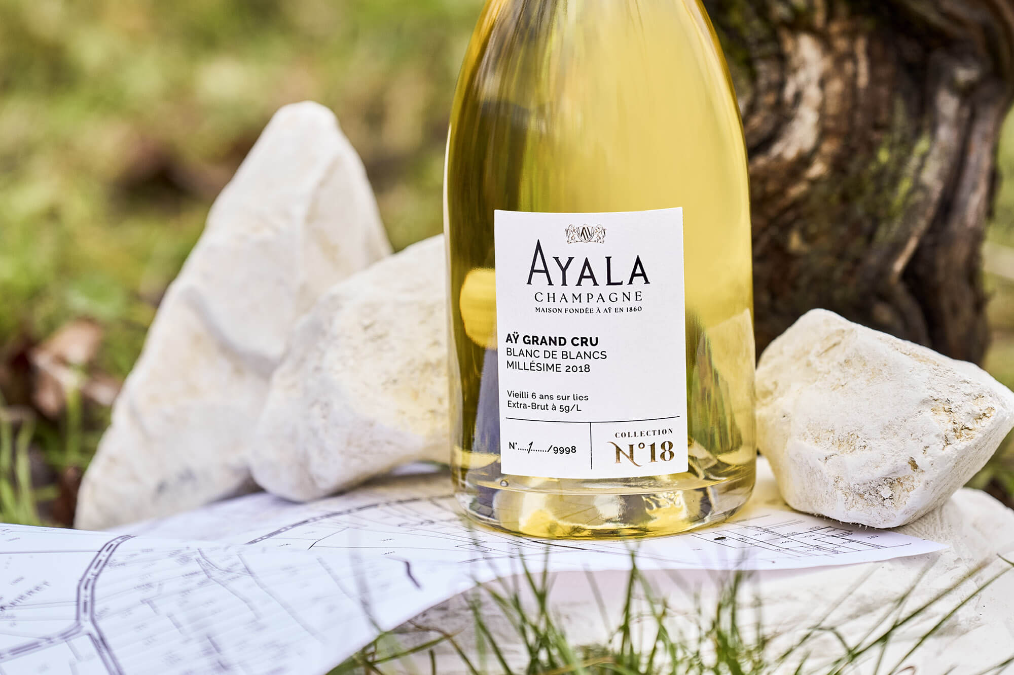 Quentin Gallopyn, Vicomté - Champagne Ayala