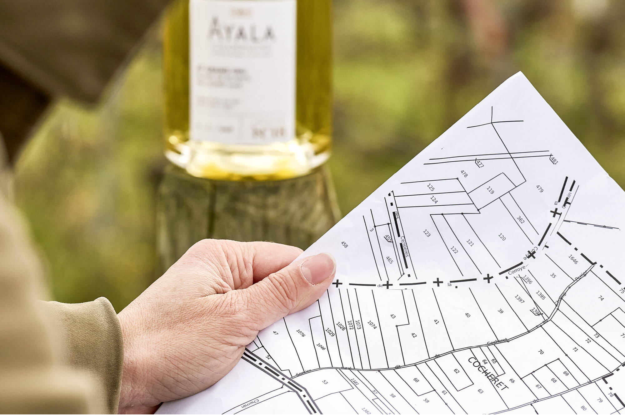 AYALA Collection N°18, Blanc de Blancs d&rsquo;Aÿ - Champagne Ayala