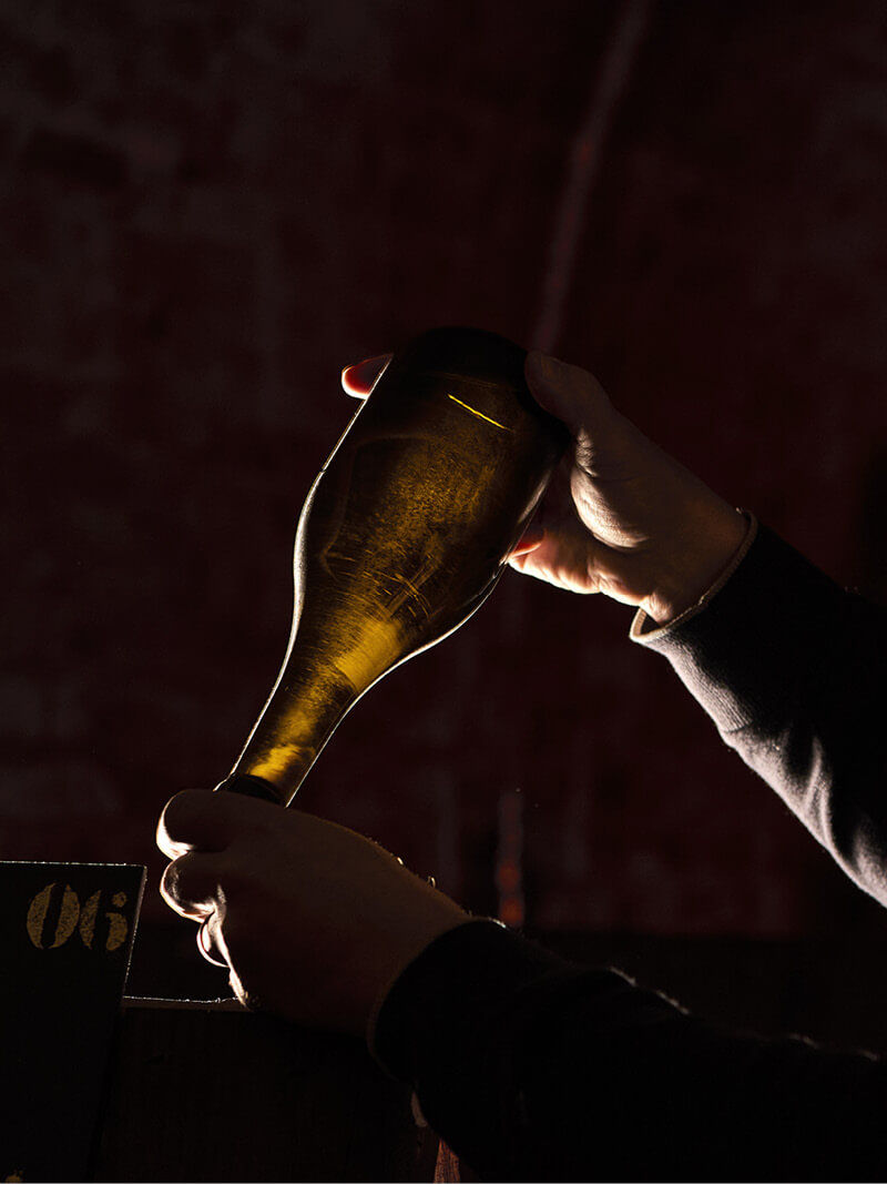 A pure & balanced style - Champagne Ayala
