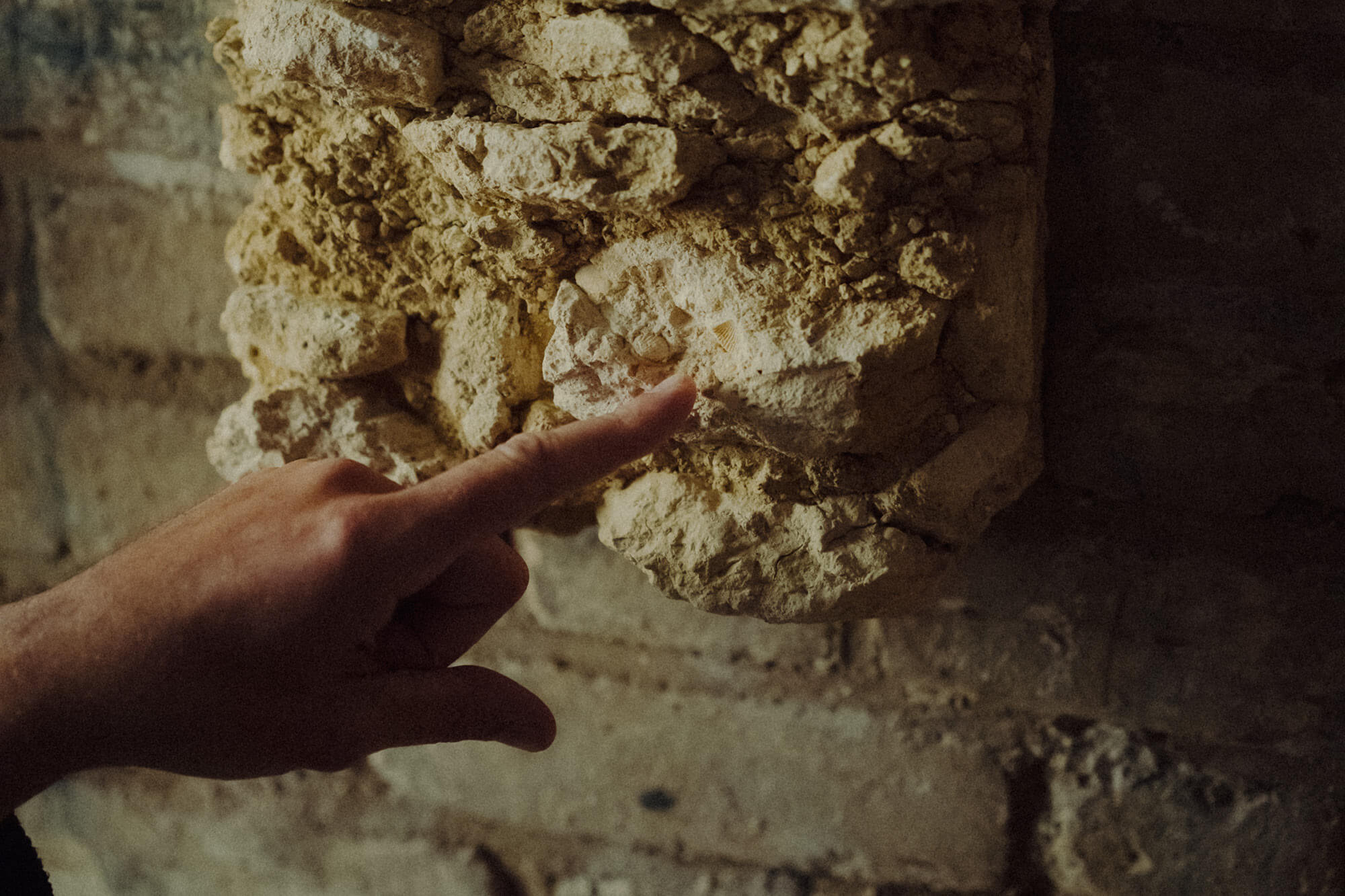 Atelier Vignoble, Comprendre le Terroir - Champagne Ayala