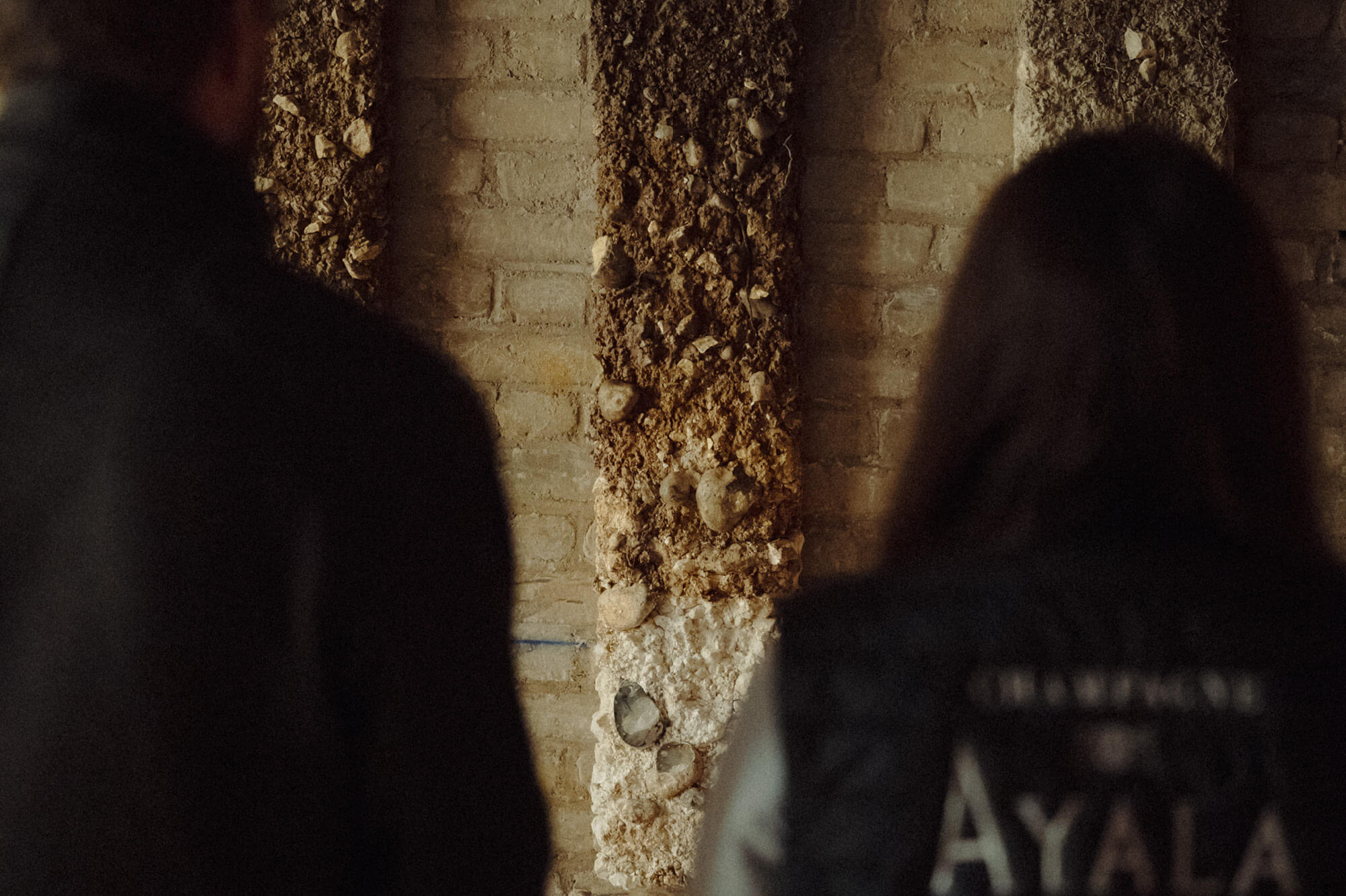 Atelier Vignoble, Comprendre le Terroir - Champagne Ayala