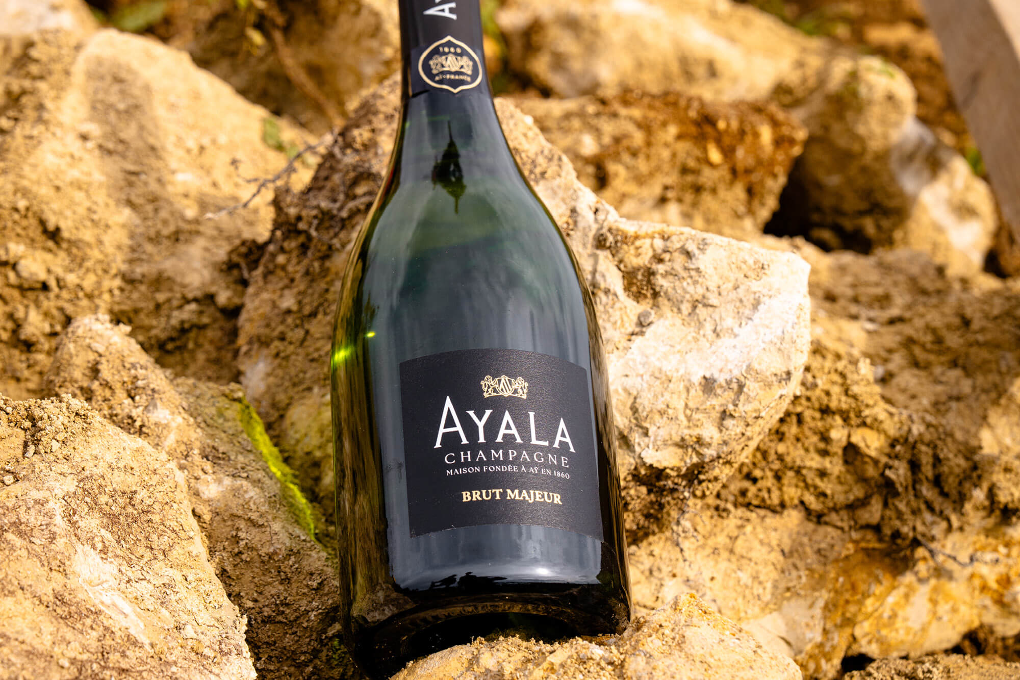 Atelier Vignoble, Comprendre le Terroir - Champagne Ayala