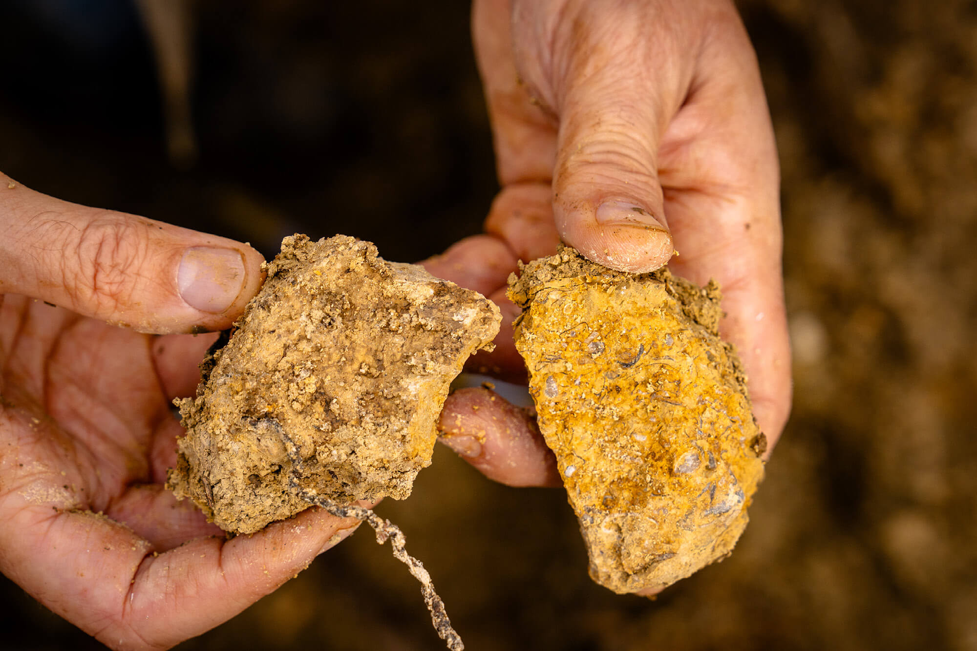 Atelier Vignoble, Comprendre le Terroir - Champagne Ayala