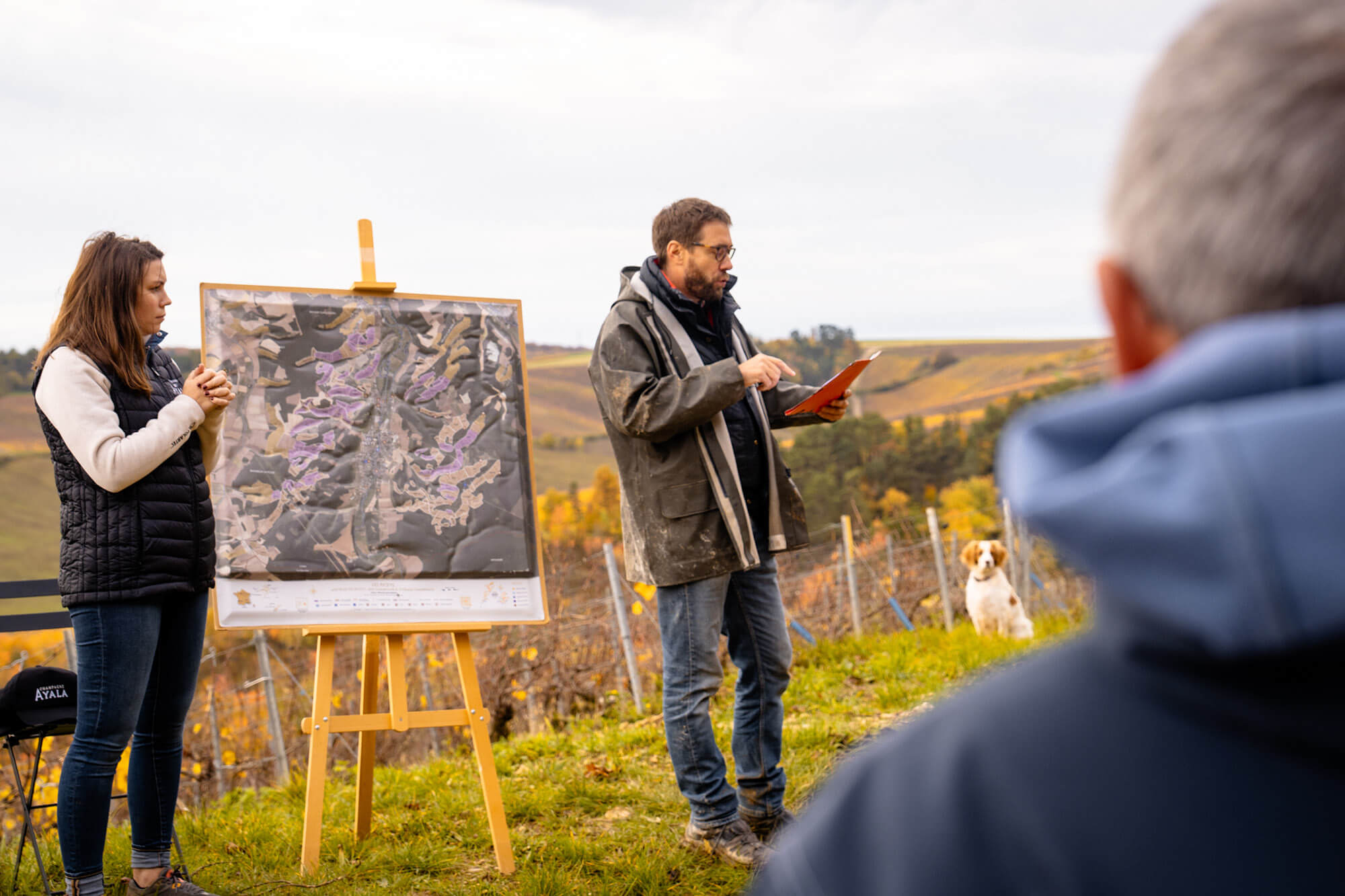 Atelier Vignoble, Comprendre le Terroir - Champagne Ayala