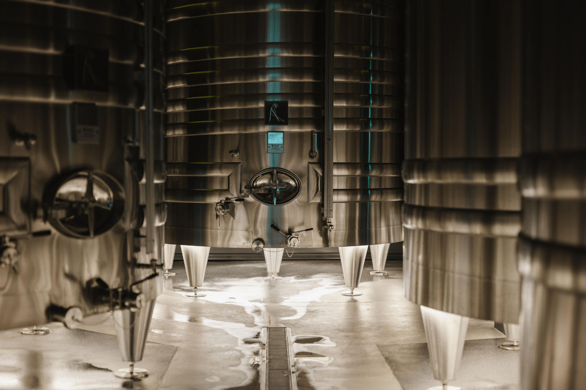 Carnet de vendange 2026 - Champagne Ayala