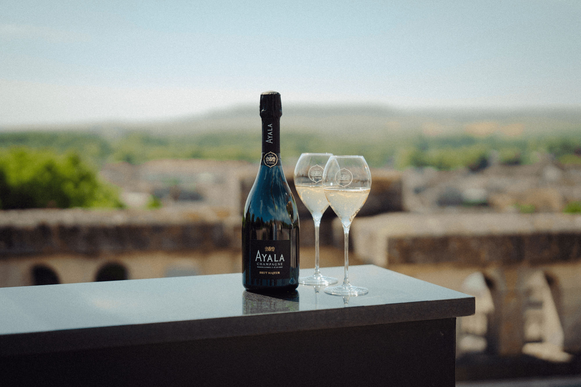 Carnet de vendange 2026 - Champagne Ayala