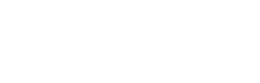 IDS388