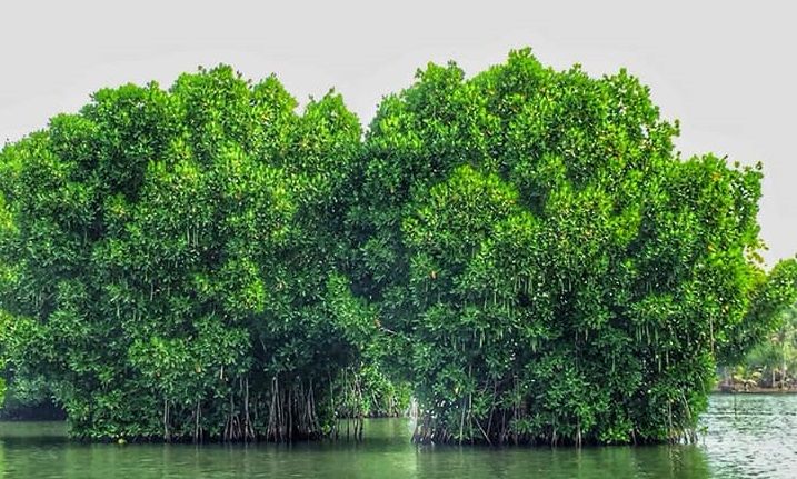 മൺറോ തുരുത്ത് എന്ന വിസ്മയം