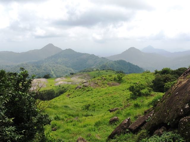 മീനുളിയാൻ പാറ