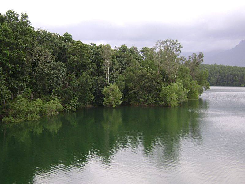 പേപ്പാറ വന്യജീവി സങ്കേതം