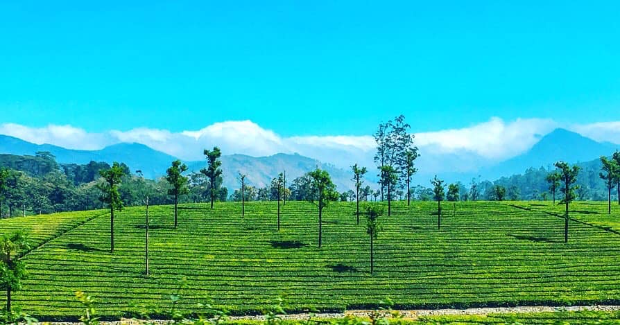 വാല്പാറ യാത്ര
