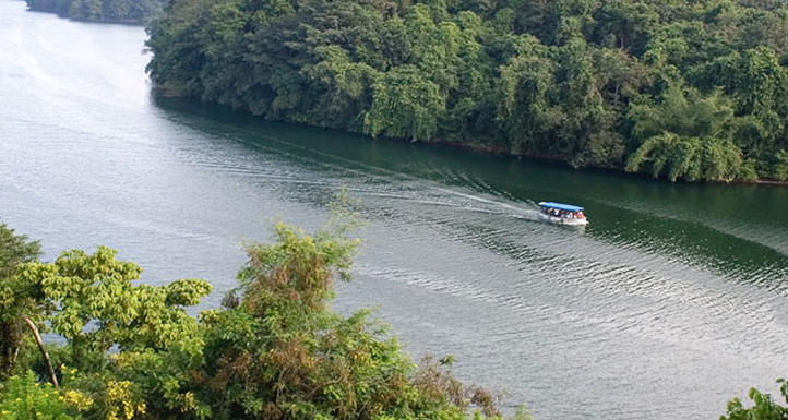 പീച്ചി വന്യജീവിസങ്കേതം