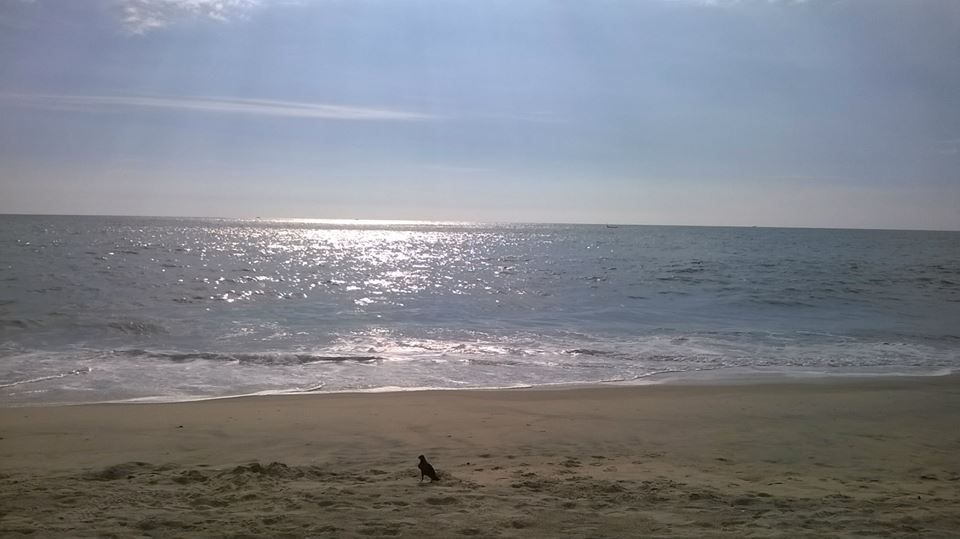 മാരാരിക്കുളം ബീച്ച്